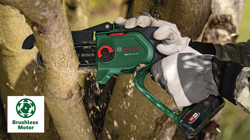 Rezistenţă şi putere