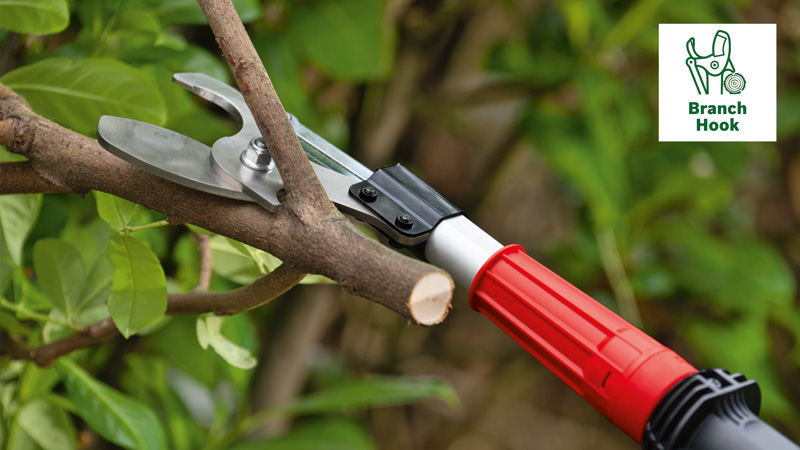 Îndepărtează ramurile încurcate