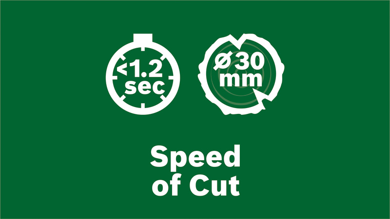 Tăieri curate pentru o regenerare sănătoasă